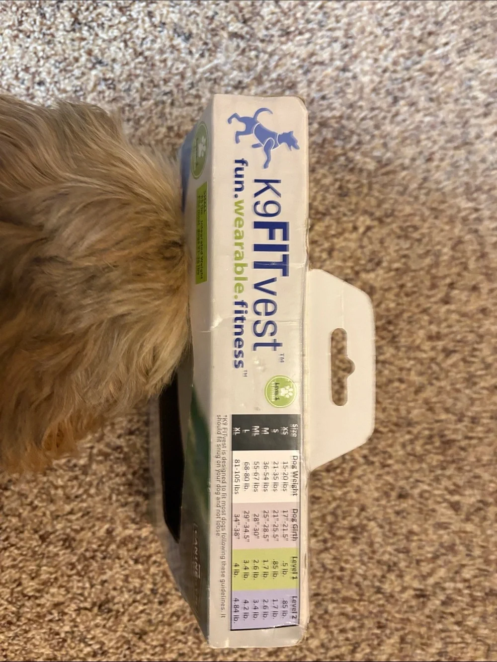 K9FitVest Canine Fitness Vest in Lime Green